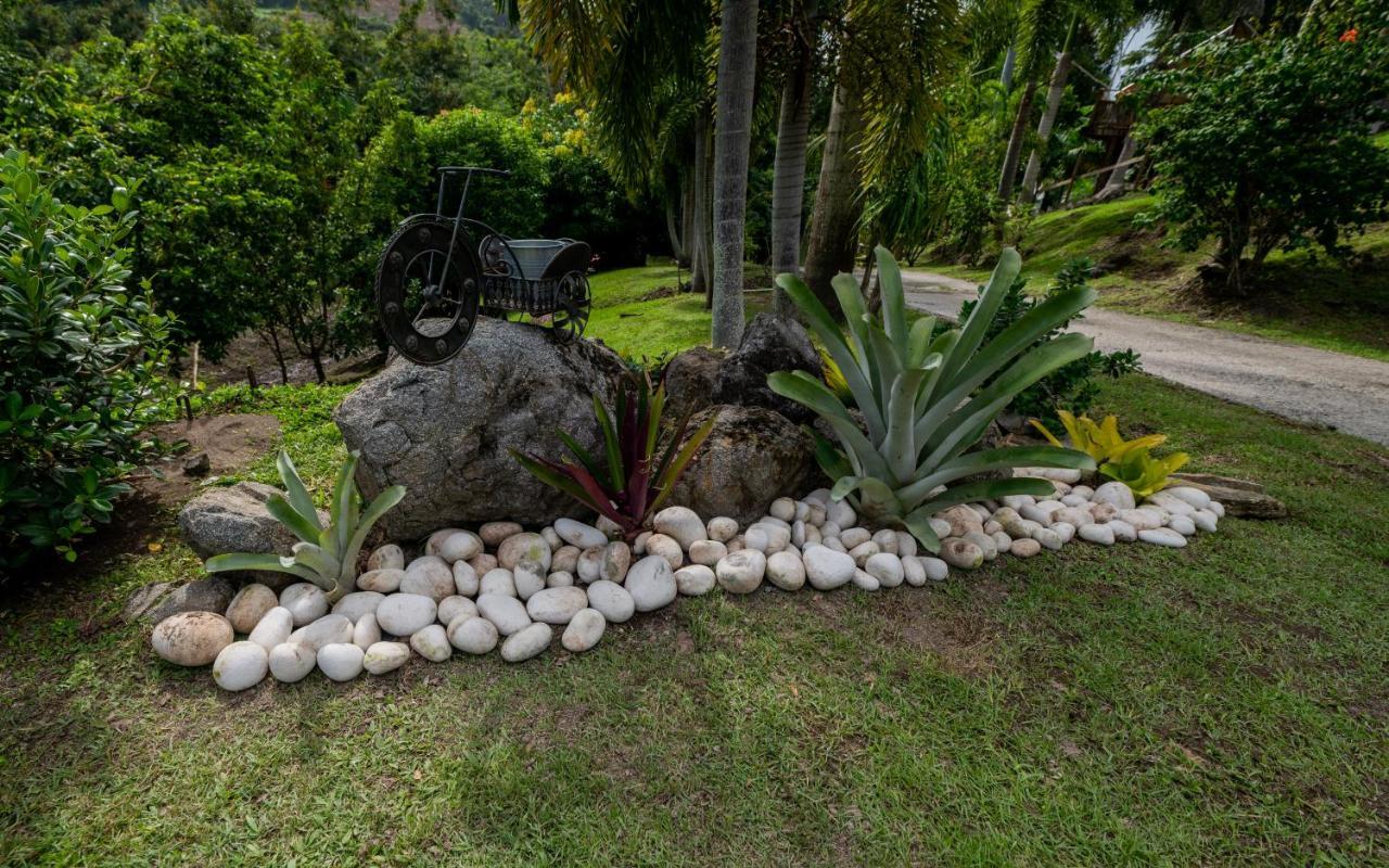 Hacienda Tres Casitas Pensionat Cabo Rojo Exteriör bild