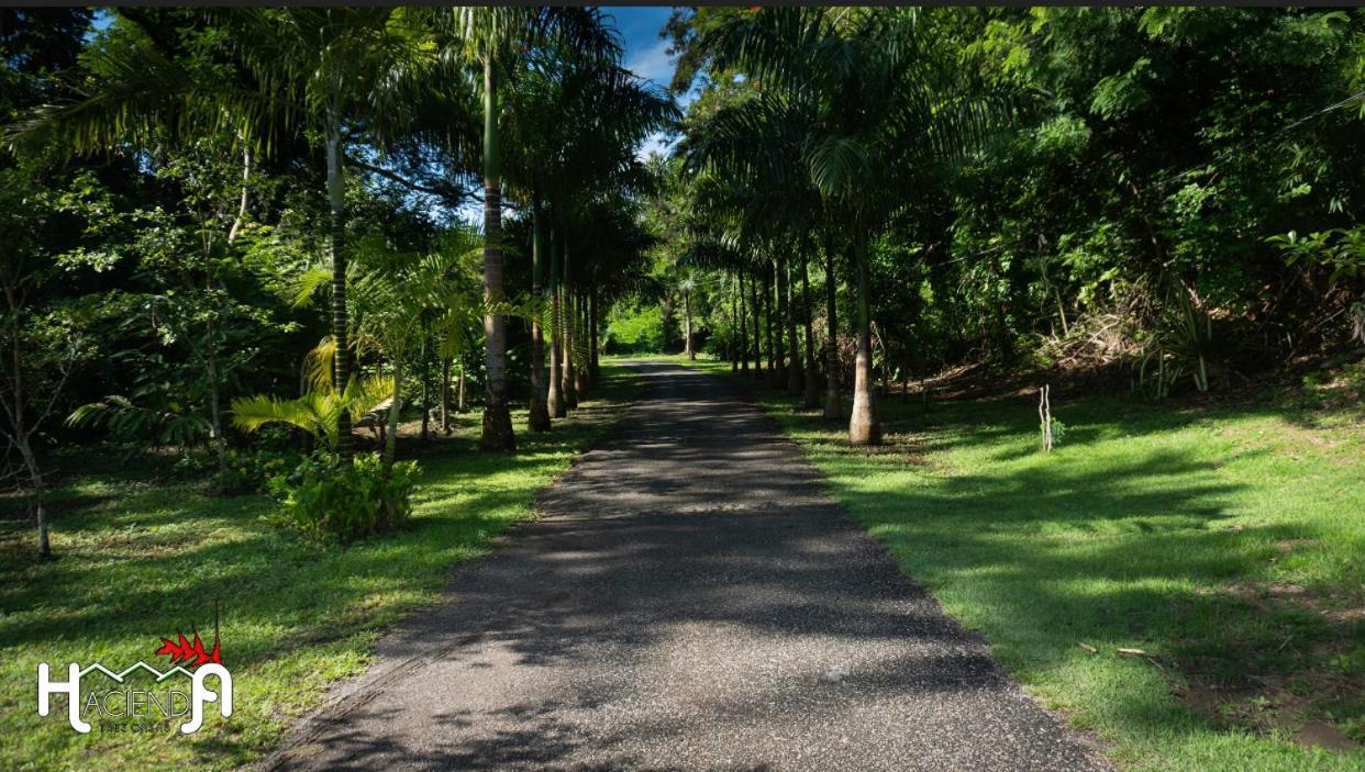 Hacienda Tres Casitas Pensionat Cabo Rojo Exteriör bild