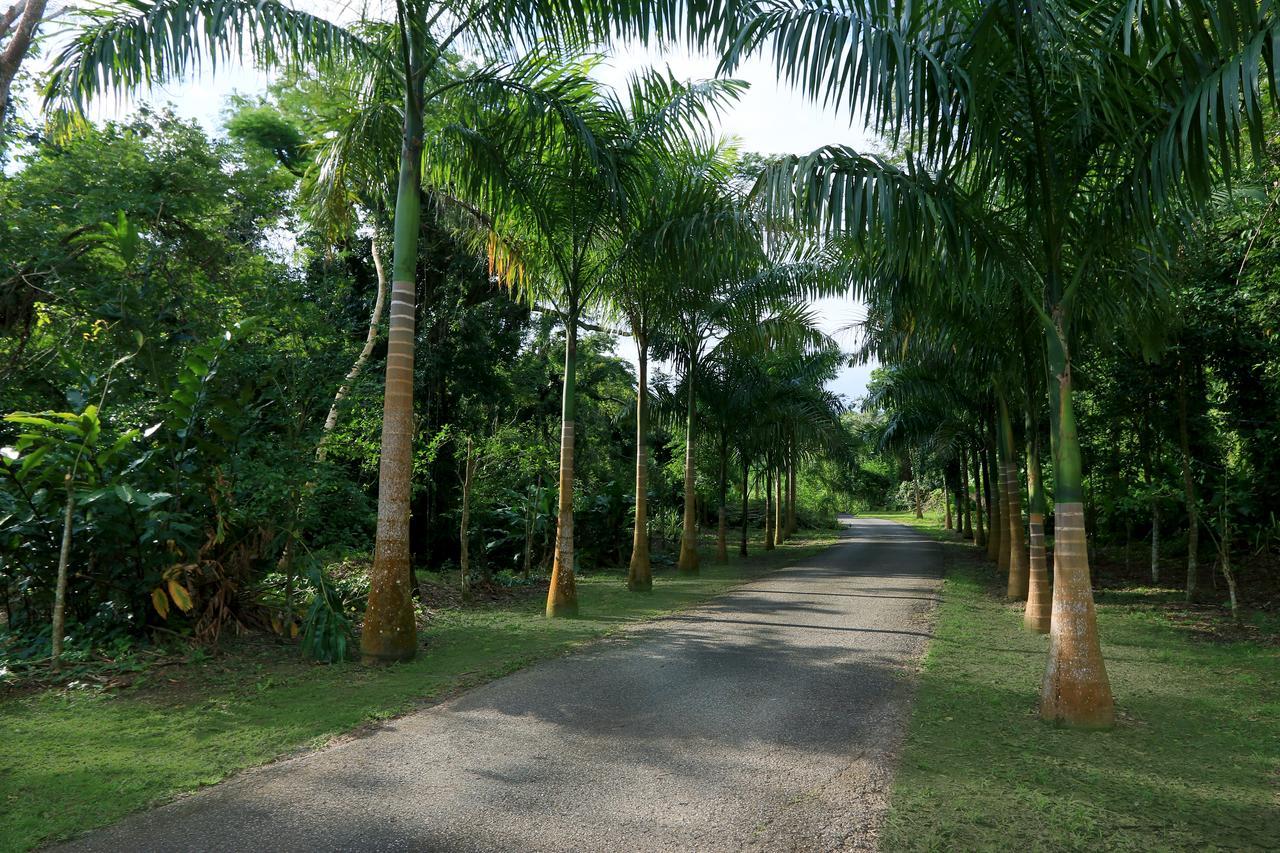Hacienda Tres Casitas Pensionat Cabo Rojo Exteriör bild